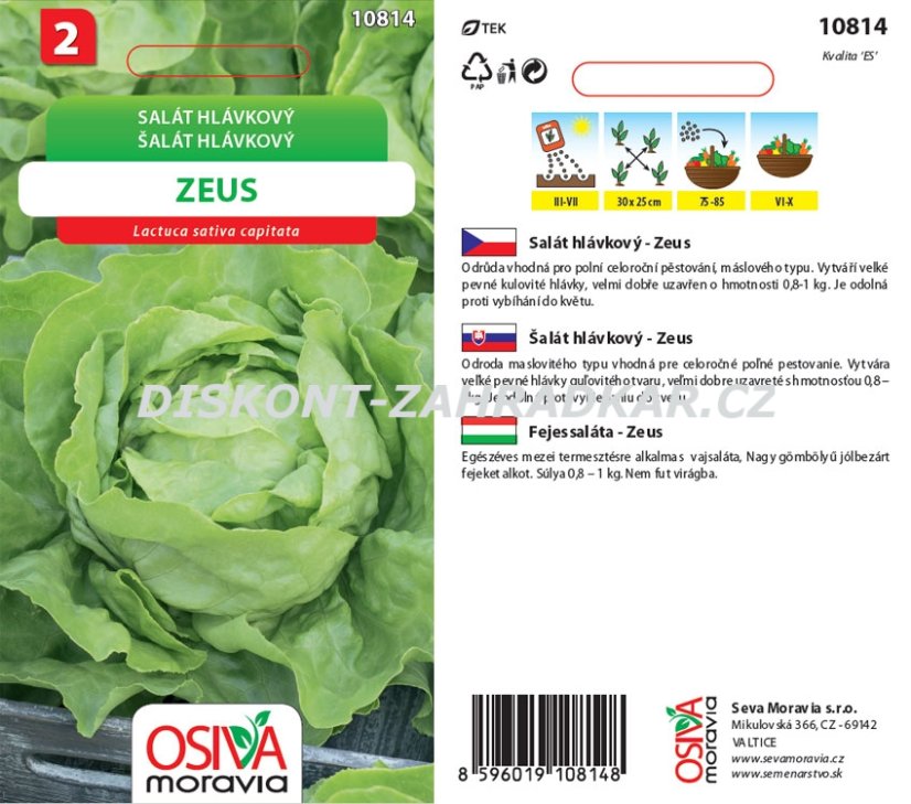 10814 Salát hlávkový letní Zeus 0,3g / 3106