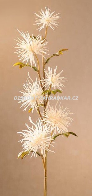 Dry Mini Xanthium 53 cm bílá F258-W