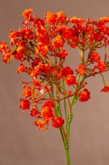 Gypso Spray 46 cm oranžová F406-O