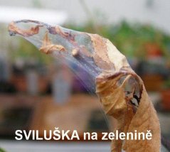 Natura Symfonie 3 v 1 500ml