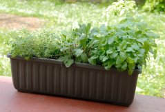 Samozavlažovací truhlík SIESTA LUX 100 cm - Čokoláda