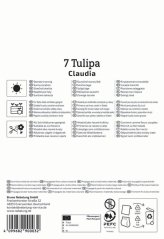 2000053/8502 Tulipány Claudia 7ks