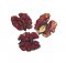 Loupané vlašské ořechy karmínově červené - jádra 1kg