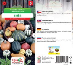 24181 Okrasné tykvičky směs 10s / 3711