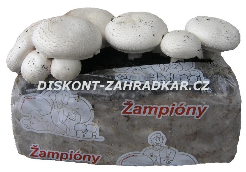 Žampiony substrát 15l cca. 9kg