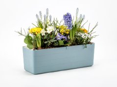 Truhlík Berberis 40 cm Šedomodrá + bílá