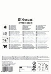 2775023/7602 Modřenec arménský 15ks