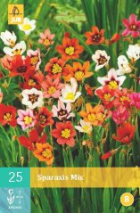 852267/8408 Dřípulka (Sparaxis) směs 25ks