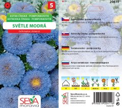 20411 Astra pomponkovité sv. modrá 0,4g /D150