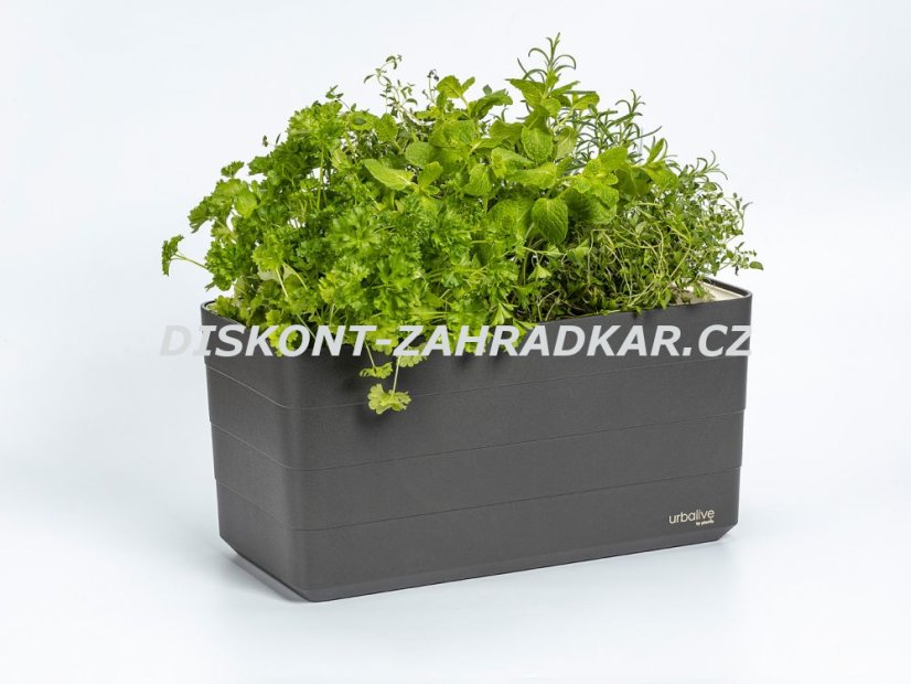 Truhlík Berberis 40 cm Antracit + slonová kost