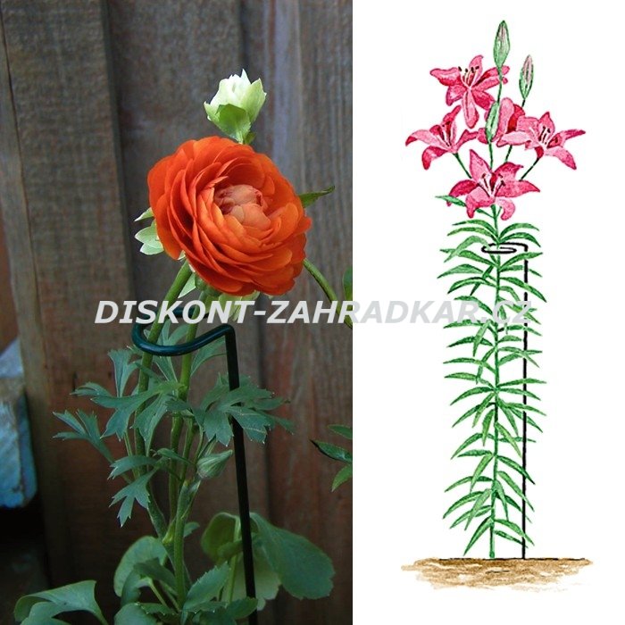 Podpěra rostlin 60 cm užší / CH7105
