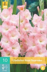 852128/7605 Gladioly Rose Supreme 10ks
