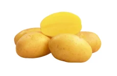 Sadba brambor LARISSA (pytel 25kg, sadbové brambory)