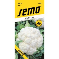 418042 Květák Jarní jarní Opaal 25s / 1407