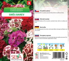 22081 Hvozdík bradatý Směs 0,5g / 4403