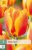 850238/8206 Tulipány Flair 7ks