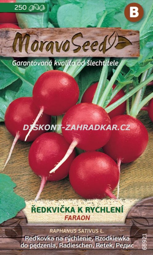 65921 Ředkvička Faraon 3g / 2810