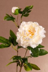 Pivoňka 68 cm bílá F390-W