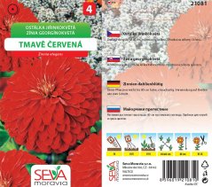 21081 Ostálka jiřinkokvětá Tm. červená 1g / 4211