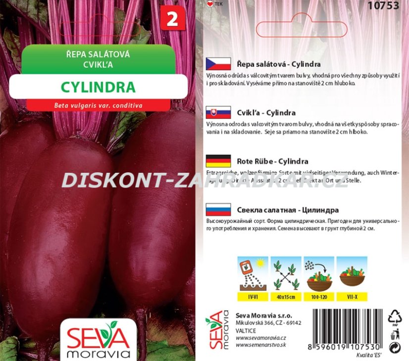 10753 Řepa salátová Cylindra 4g / 2902