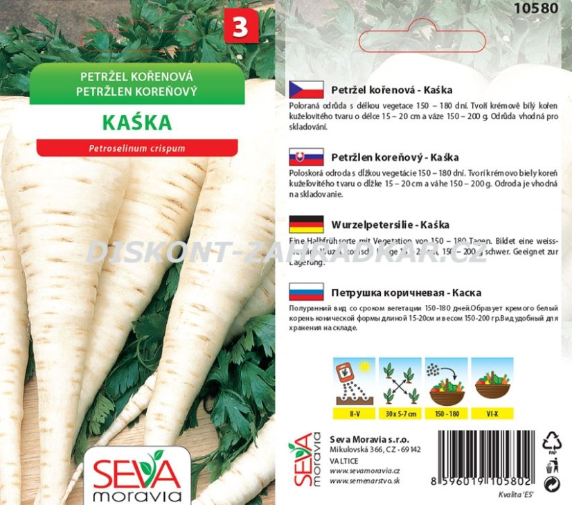 10580 Petržel kořenová Kaska 3g / 2311