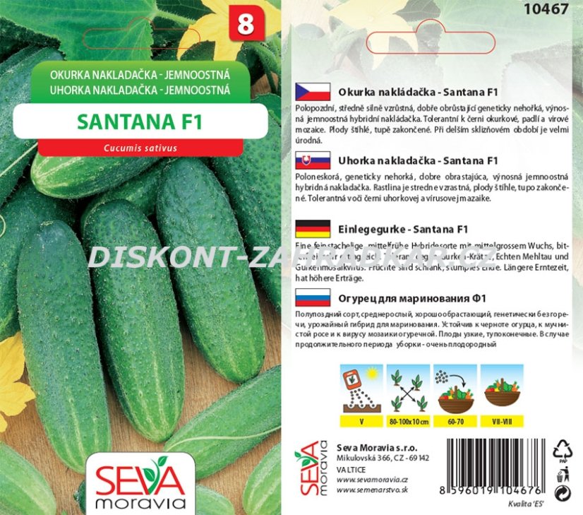 10467 Okurky F1 Santana 1g / 1801