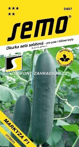 424072 Okurka Markýza F1 1,5g / 1909