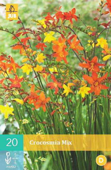 Levně 852222/8601 Montbrécie (Crocosmia) drobnokvětá směs 20ks