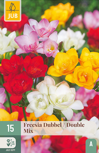 Levně 852236/7503 Frézie plnokvětá směs 15ks