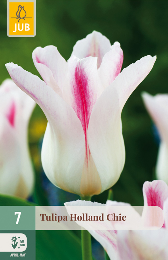 852639/8307 Tulipány Holland Chic 7ks