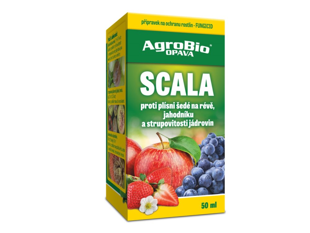 Scala 50ml