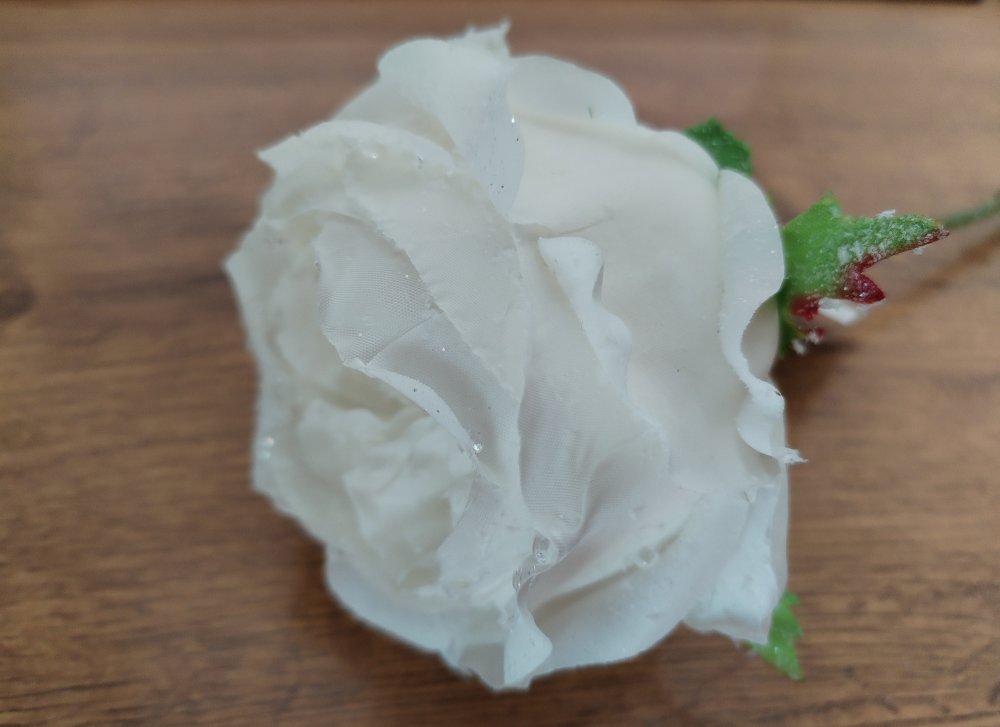 Levně Zimní růže bílá F95492