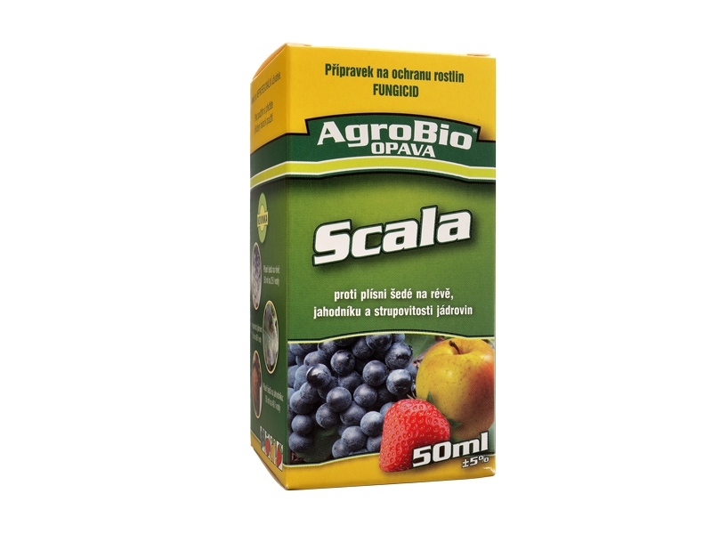 Scala 50ml