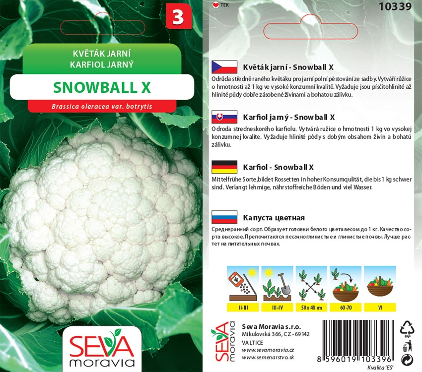 Levně 10339/1601 Květák Snowball 0,4g