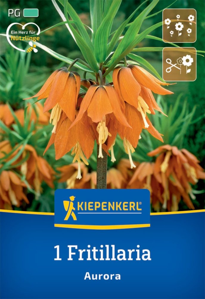 Levně 2775000/8204 Řebčík oranžový 1ks