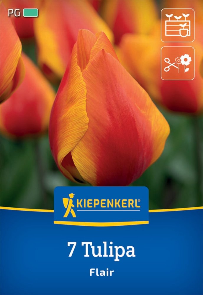 Levně 2000000/8504 Tulipány Flair 7ks