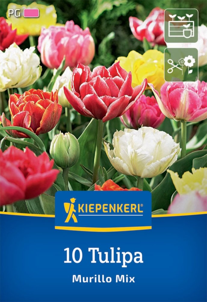 Levně 2000003/8602 Tulipány Murillo směs 10ks