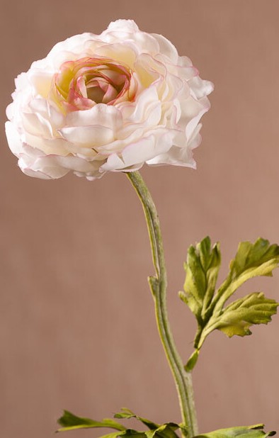 Levně New Ranunkulus (Pryskyřník) 51 cm bílý F409-W