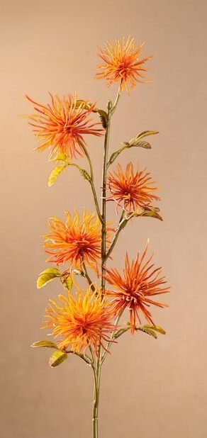 Levně Dry Mini Xanthium 53 cm oranžová F258-O