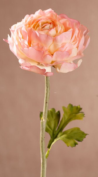 Levně New Ranunkulus (Pryskyřník) 51 cm růžový F409-P