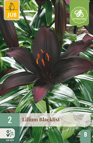 Levně 851190/8205 Lilie Blacklist 2ks