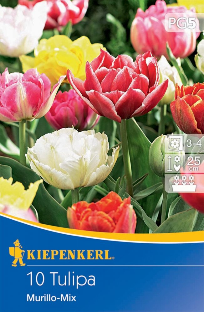 Levně 505100 Tulipány Murillo směs 10ks /8504