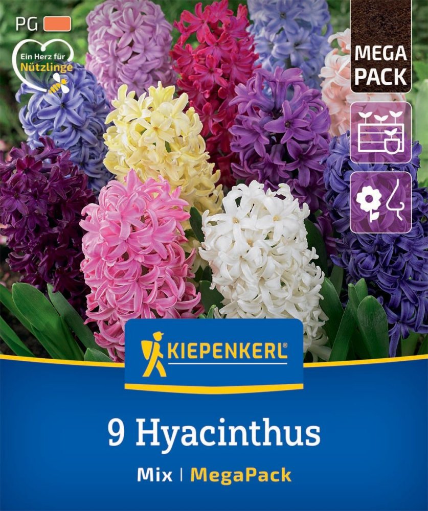 Levně 2875000/99 Hyacinty směs barev 9ks