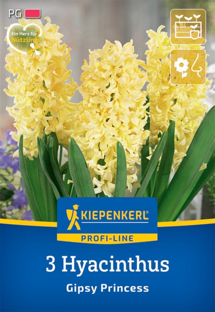 Levně 2600003/7203 Hyacinty Gipsy Princess 3ks
