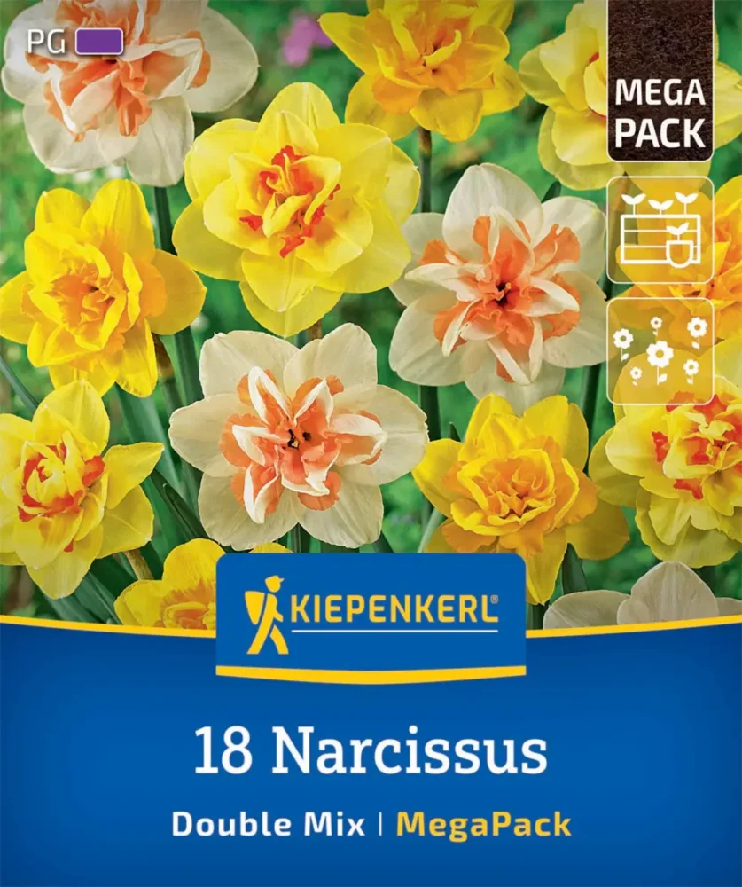 Levně 2875018/99 Narcisy plnokvěté směs 18ks