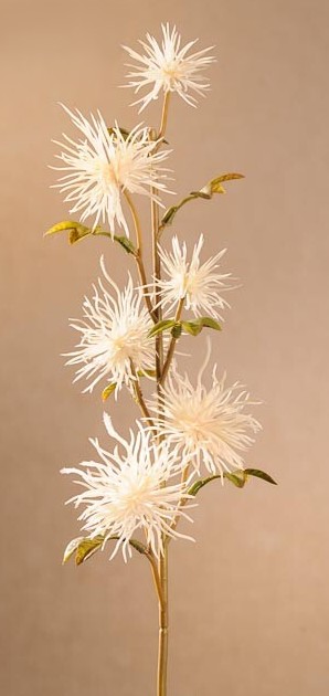 Levně Dry Mini Xanthium 53 cm bílá F258-W