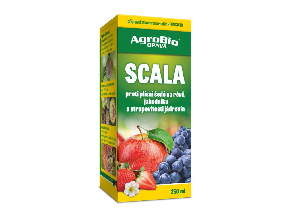 Scala 250ml