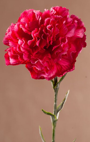 Levně Karafiát 69 cm beauty F401-R1