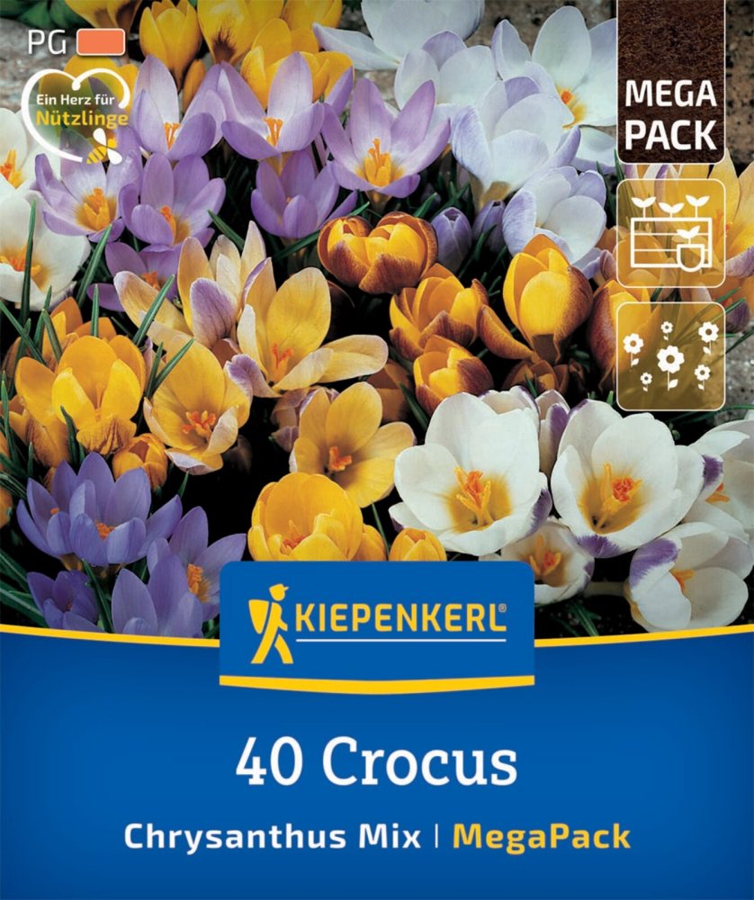 Levně 2875023/99 Botanické krokusy směs 40ks