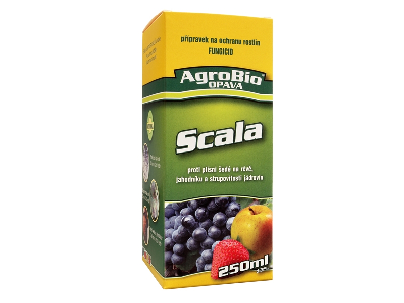 Levně Scala 250ml